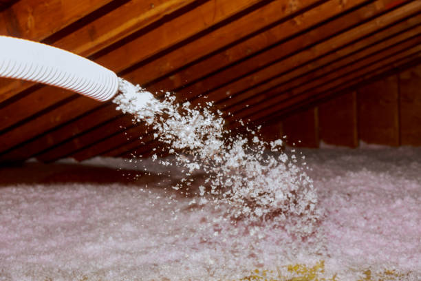 Best Commercial Insulation in Loudonville, NY
